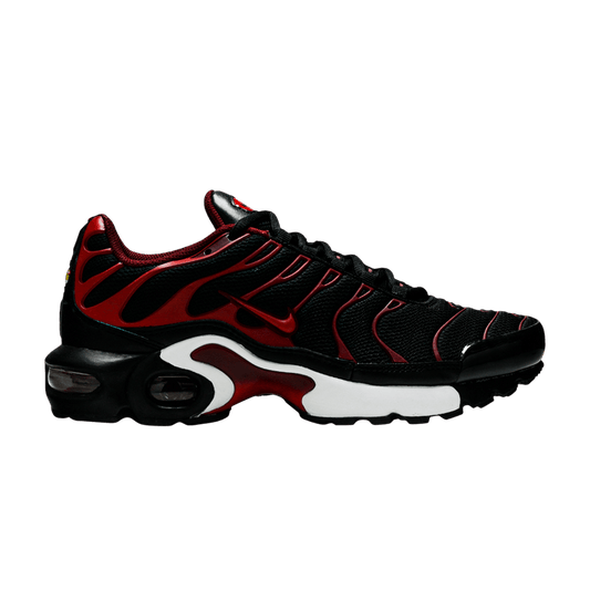 Nike Air Max Plus Bred (GS)