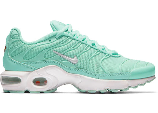 Nike Air Max Plus Igloo (GS)